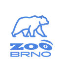 ZOO Brno: Medvěd kamčatský